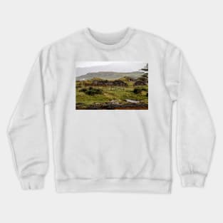 Wilderness Crewneck Sweatshirt